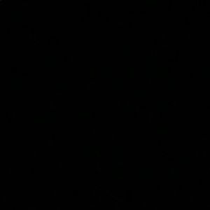 Meet your Posher, Trista